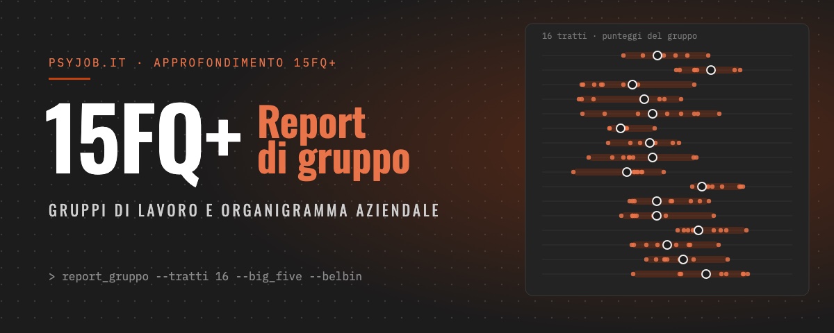 15FQ+ Report di gruppo: distribuzione dei punteggi del gruppo di lavoro sui 16 tratti