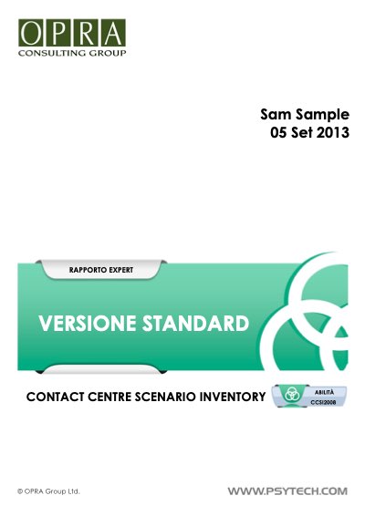 Copertina del report CCSI Standard di esempio