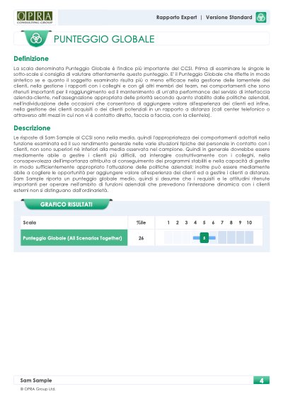 Report CCSI Standard: punteggio globale