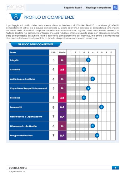 Rapporto sulle competenze: grafico del profilo di competenze