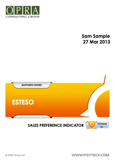 Copertina del report SPI Esteso di esempio