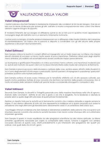 Report VMI Standard: valutazione dei valori interpersonali, estrinseci e intrinseci