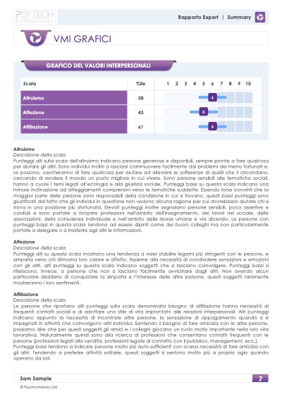 VMI Summary Report: grafico e descrizione dei valori interpersonali